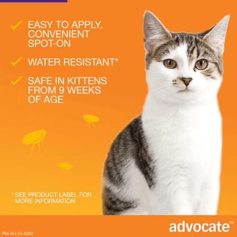 ADVOCATE Flea, Heartworm and Worm For Big Cat 3pack (Purple)