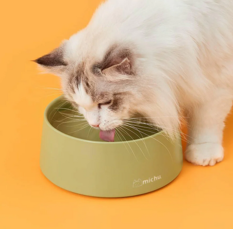 Michu Ceramic 3pcs Dinnerware Set- Raised Bowl and Plate Set for Everyday Pets Essentials