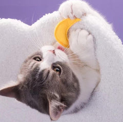 Fantasy Series Climbing Frame Cat Tree - Sparkling and cloudy