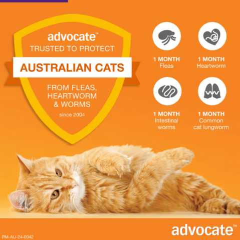 ADVOCATE Flea, Heartworm and Worm For Big Cat 3pack (Purple)
