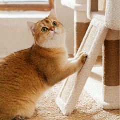 Lucky Seven Cottage Multi-Tier Cat Tree with Cat Scratching Posts