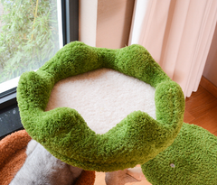 Natural Wood Cat Tree with Cozy Hideaway