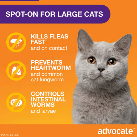 ADVOCATE Flea, Heartworm and Worm For Big Cat 3pack (Purple)