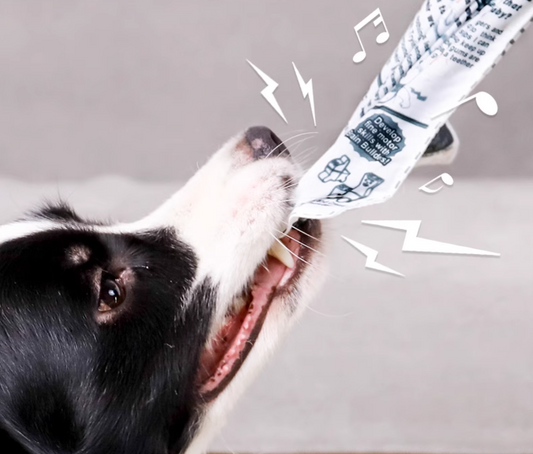 Peroom Squeaking Rubber Newspaper Dog Toy