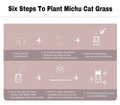 MICHU Soil-Free Cat Grass Kit With Extra Seed Pack
