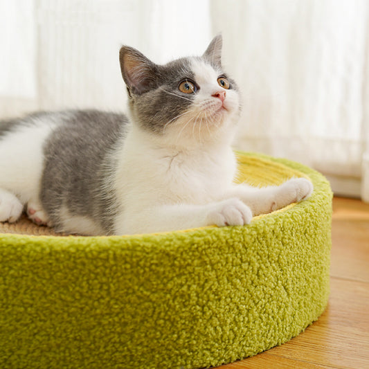 Cat sitting on a green cushioned pet bed indoors