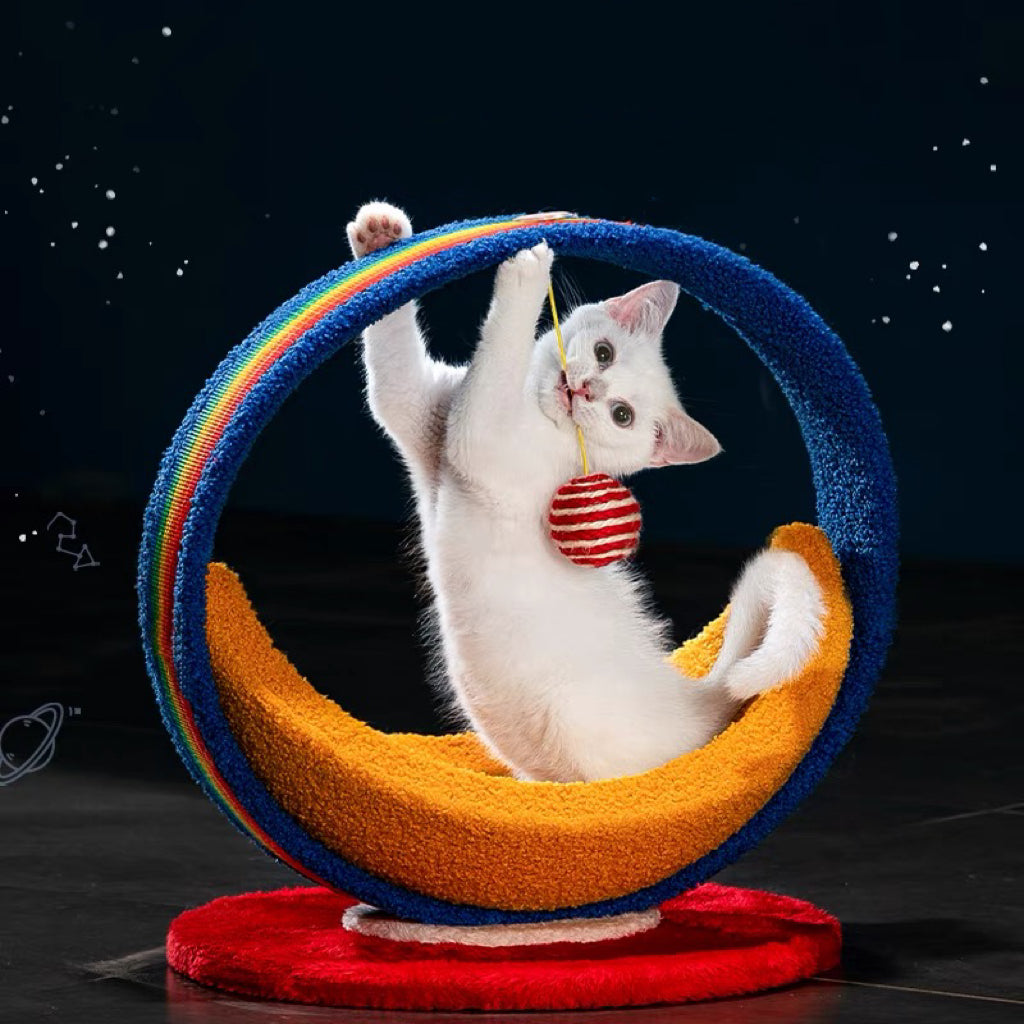 Galaxy Moon Ship Cat Bed &Cat Scratcher