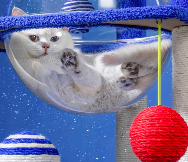Galaxy UFO Moon Cat Tree – Stylish & Fun Cat Tower