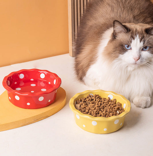 Petroom Ceramic Pet Bowl with Dot Pattern