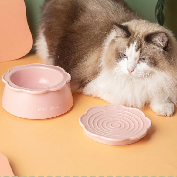 Petroom Cat Bowls 3 in 1 Ceramic Cat Food Bowl with Non Slip Strip