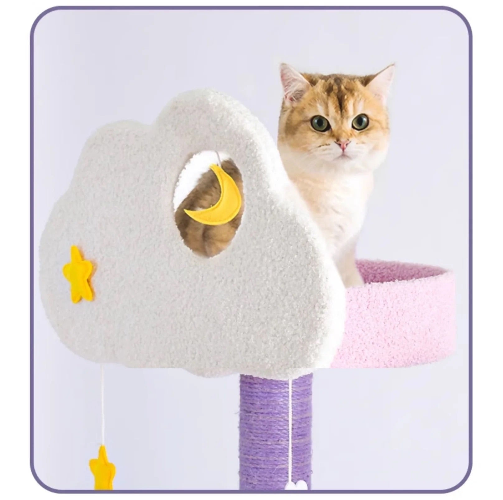 Echo Super Large Cat Tree With Scratching Post (Height 170cm)