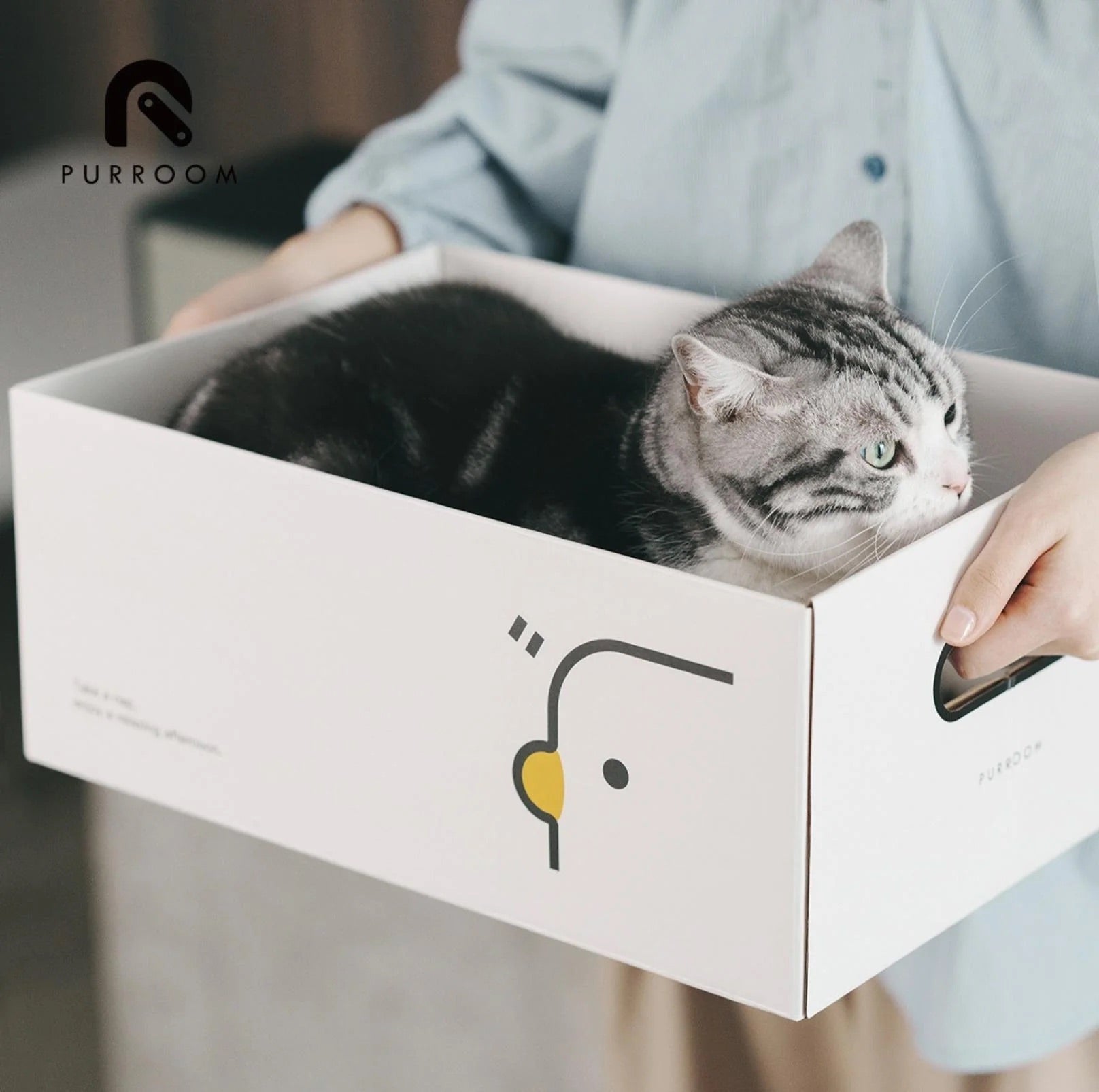 PURROOM Little Chick Series 2 In 1 Cat Scratcher Box