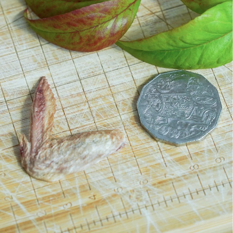 FUREEZE Freeze Dried Quail Wings 50g