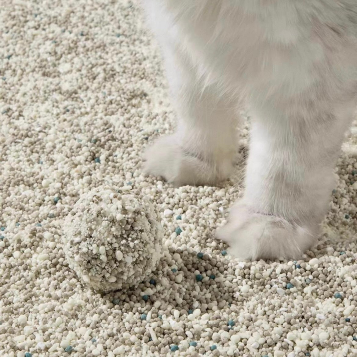 Petshy Plant Mixture Cat Litter 2.5kg Pre-order