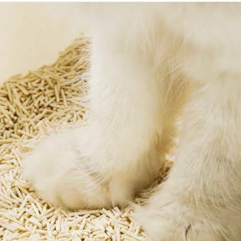 Petshy Tofu Plant Mixture Cat Litter 2.5kg