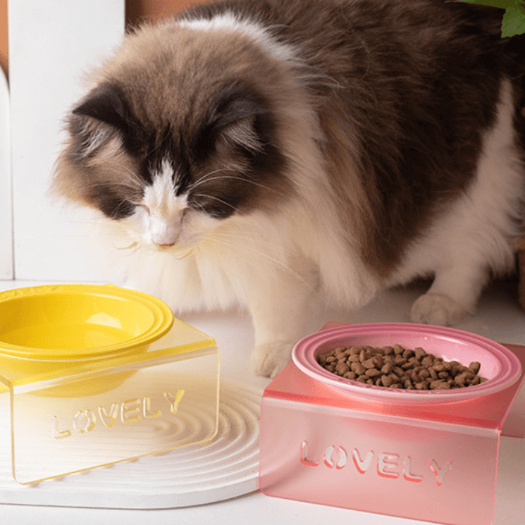 Acrylic Elevated Pet Bowl – Raised Cat & Dog Feeder Stand (Yellow, Pink, Sky Blue)-Petroom