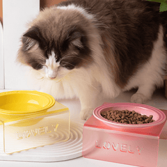 Acrylic Elevated Pet Bowl – Raised Cat & Dog Feeder Stand (Yellow, Pink, Sky Blue)-Petroom