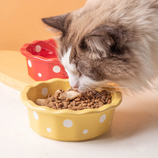 Petroom Ceramic Pet Bowl with Dot Pattern