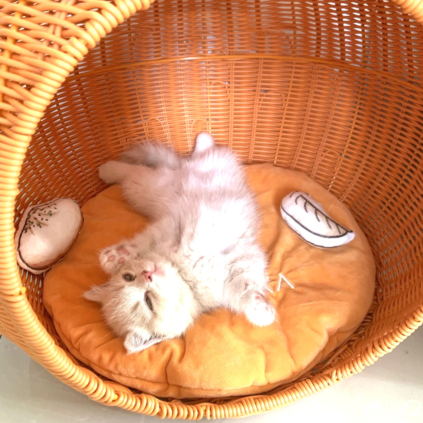 Vetreska Orange Style Artificial Knitting Cat Nest Cat Bed
