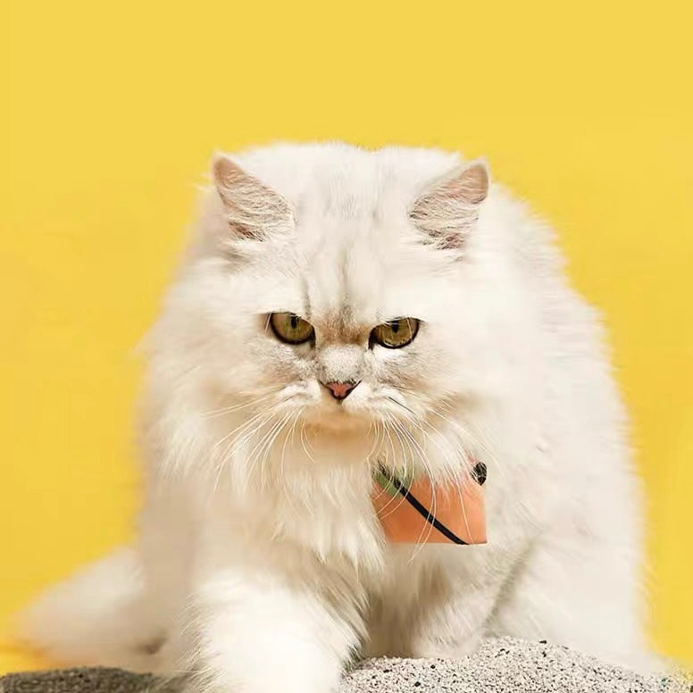 Petshy Naji-Ore Cat Litter 4.5kg