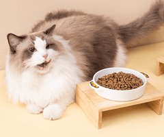 Cartoon Ceramic Cat Bowl – Pet Bowl Only, Cute Animal Design-Petroom