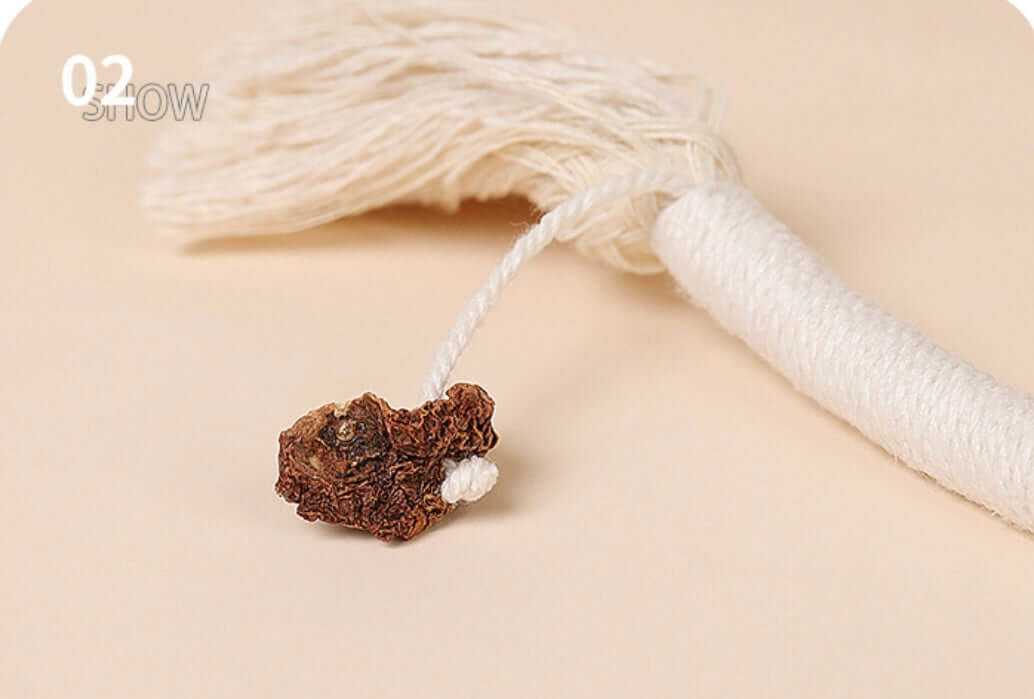 Cat Rope Toy – 70cm Catnip Chew Rope with Silvervine Fruit-Petroom