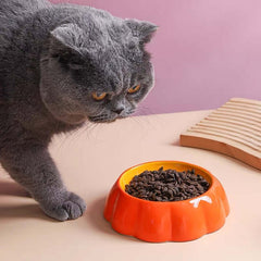 Ceramic Bowl Fruit Shape Pineapple Strawberry Lemon Pet Bowl-Petroom