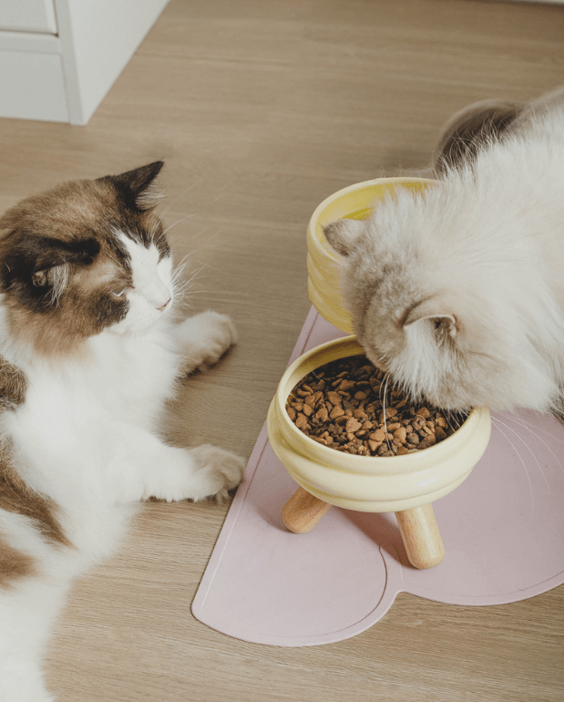 Ceramic Pet Bowls with Wood Stand Elevated Cat & Dog Feeder-Petroom