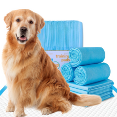 Living today Puppy Dog Wee Pads Toilet Training Pads 60x60cm