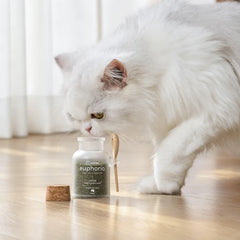 Michu Euphoria Dried Catnip Flakes for Cats 100ml | Natural Catnip for Enrichment Alongside Freeze Dried Cat Treats