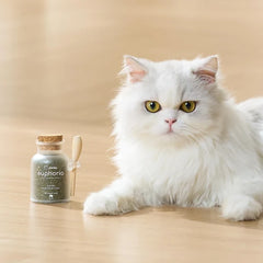 Michu Euphoria Dried Catnip Flakes for Cats 100ml | Natural Catnip for Enrichment Alongside Freeze Dried Cat Treats