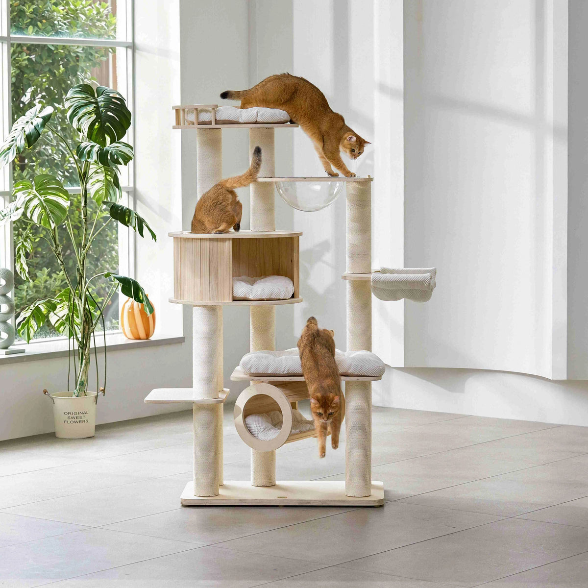 Michu Lumi Multi-Layer Solid Wood Cat Nest Tree 170cm - White