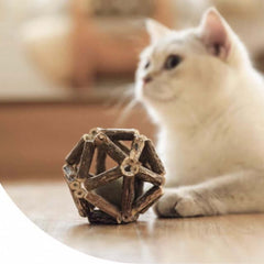 Dental Chew Catnip Cat Toy Ball-Petroom