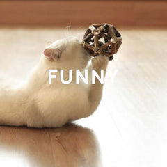 Dental Chew Catnip Cat Toy Ball-Petroom