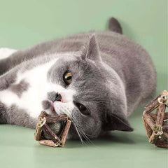 Dental Chew Catnip Cat Toy Ball-Petroom