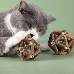 Dental Chew Catnip Cat Toy Ball-Petroom