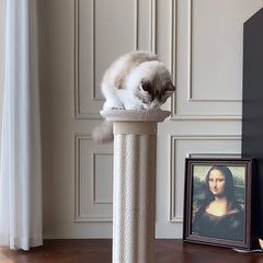 Roman Column Aesthetic Corrugated Cat Scratching Post – Stylish cat scratchers for Indoor Cats