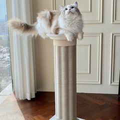 Roman Column Aesthetic Corrugated Cat Scratching Post – Stylish cat scratchers for Indoor Cats