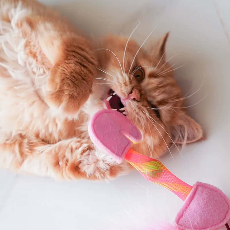 FOFOS Flicking Tube Catnip Cat Toy – Interactive Stress Relief Toy for Indoor Cats-PETROOM