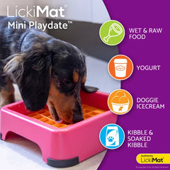 LickiMat Mini Playdate + Mini Keeper Set