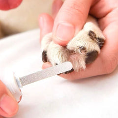 Petpure Cat Nail Clipper With LED Light