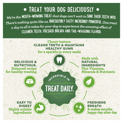 Greenies Original Regular Dental Dog Treats 36 Chews