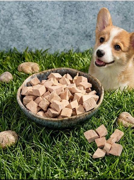PawDry Freeze-Dried Duck Bites Pets Treats 100g in a bowl with a happy Corgi on grass.