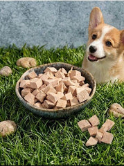 PawDry Freeze-Dried Duck Bites Pets Treats 100g in a bowl with a happy Corgi on grass.