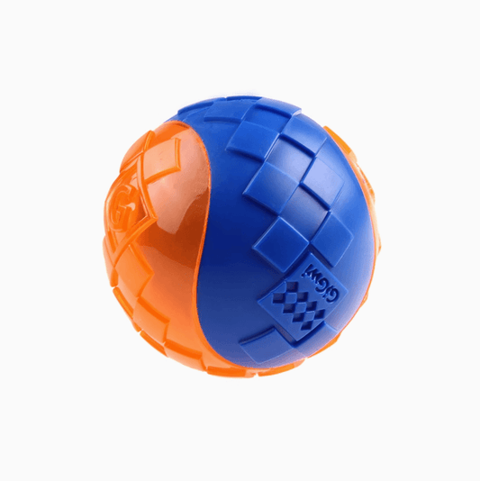 GiGwi Squeaker Ball Dog Toy Medium-Petroom