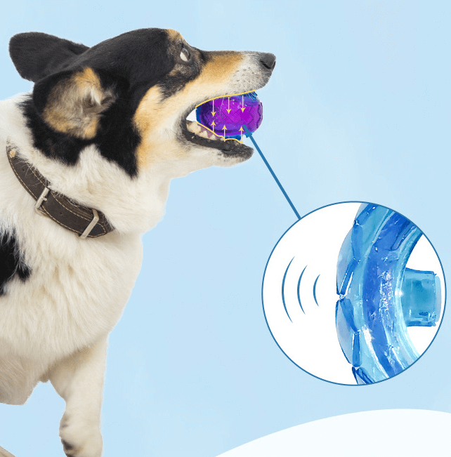 Gigwi Interactive G-Ball Series Squeaky Balls Dog Toy-Petroom
