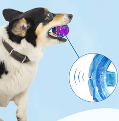 Gigwi Interactive G-Ball Series Squeaky Balls Dog Toy-Petroom