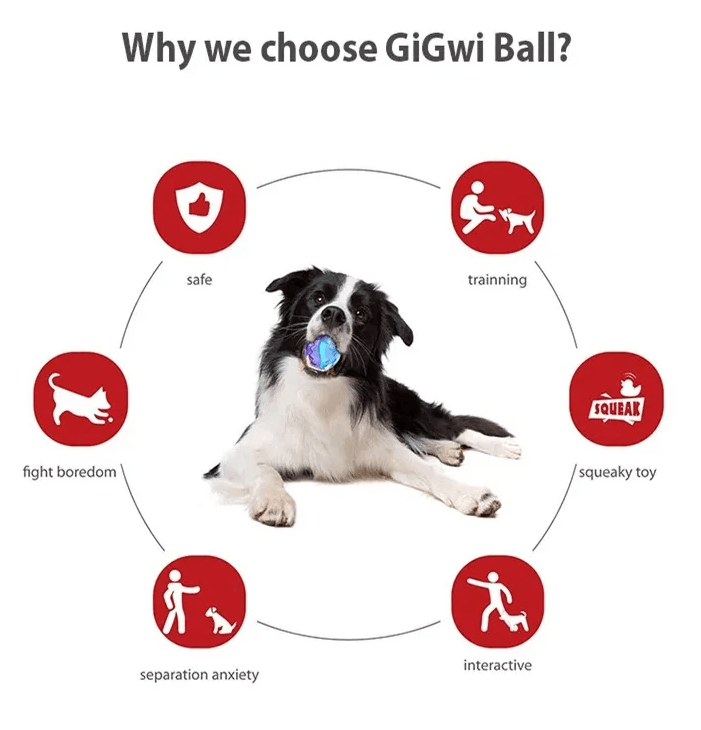 Gigwi Interactive G-Ball Series Squeaky Balls Dog Toy-Petroom