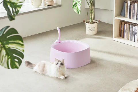 Michu Macaron High Edge Cream White Open Style Extra Large Cat Litter Box Designed by MEOOF XL