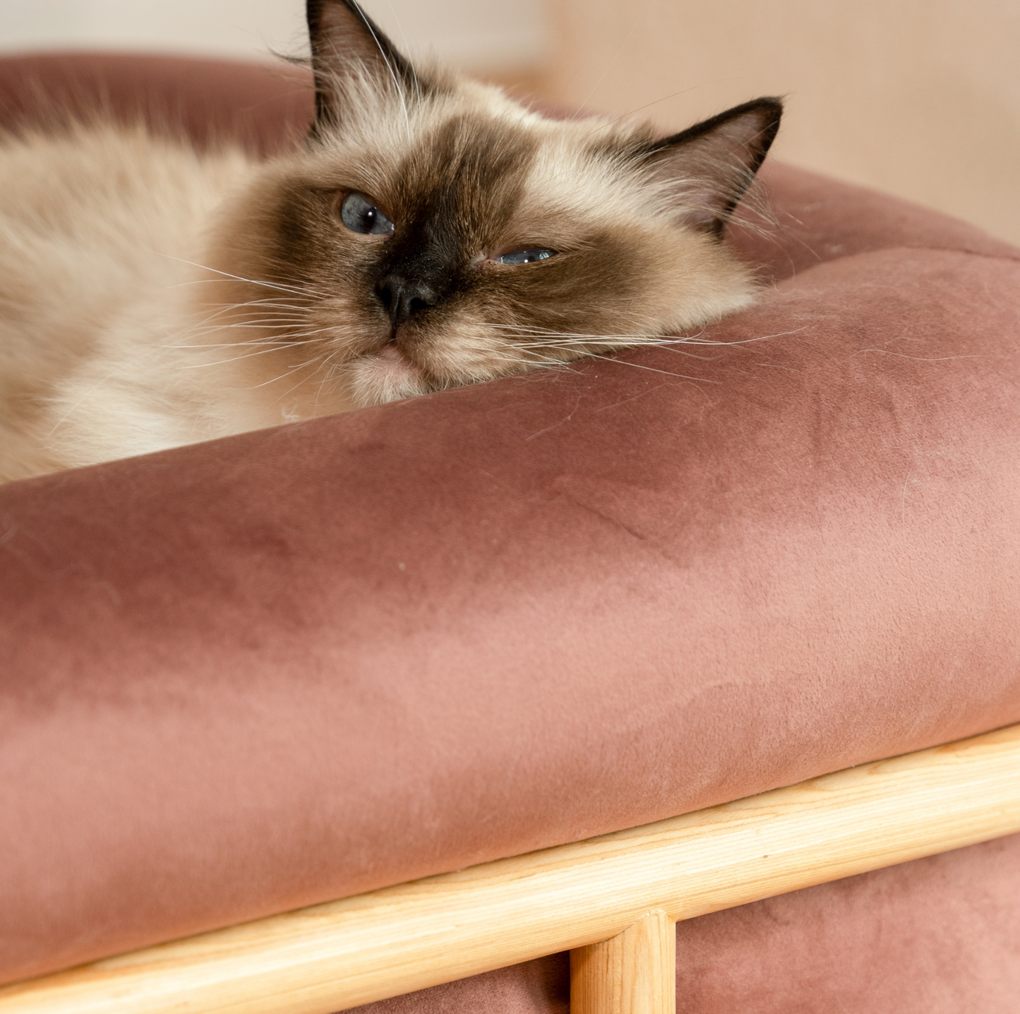 KAMA MUTA Bread Pet Bed - Italian-Inspired Design with Memory Foam and Ash Wood Frame-Petroom